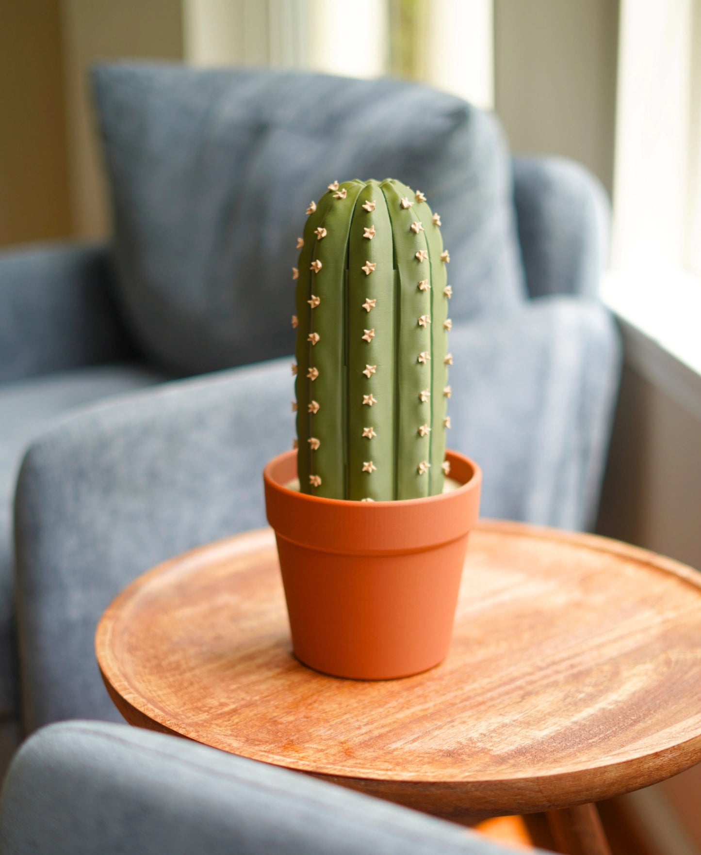 Cacti Chess Set | Desert-Inspired Chess Board & Pieces | 3D Printed Chess Game | Unique Gift for Chess Lovers | Home Decor